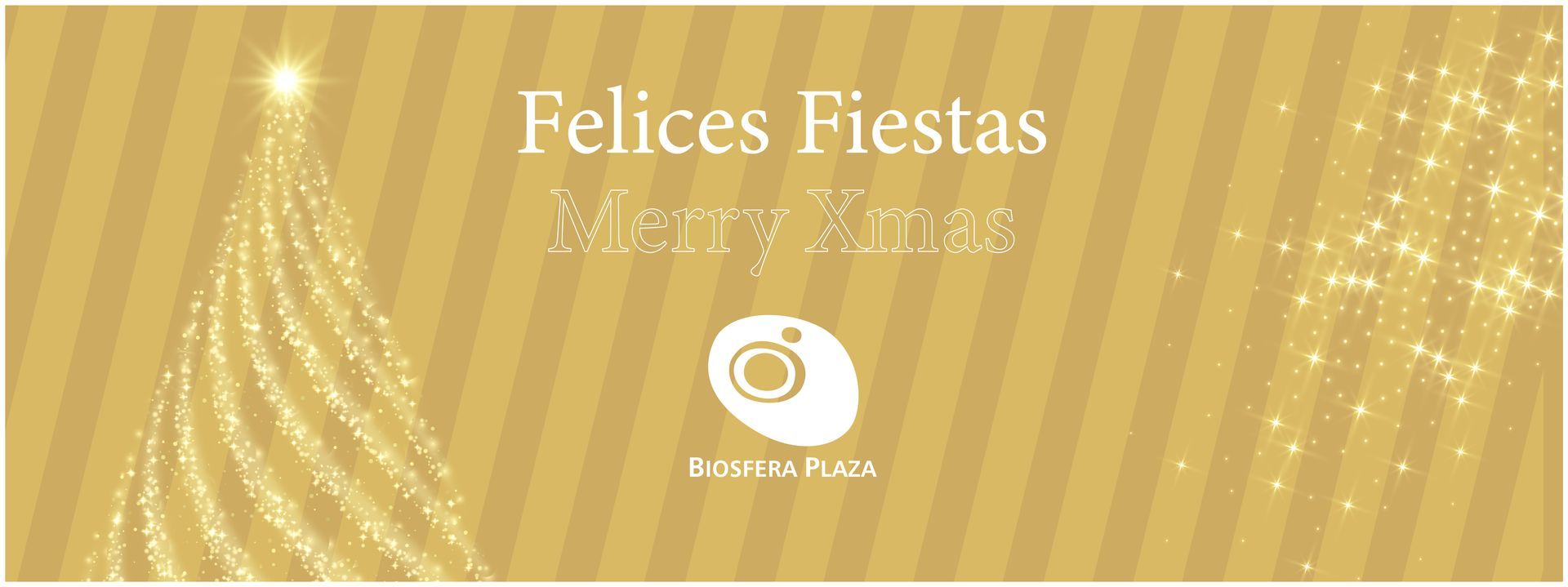 A month of December full of surprises at Biosfera Plaza Puerto del Carmen Lanzarote!