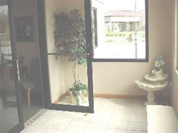 A room with a plant and a fountain in it