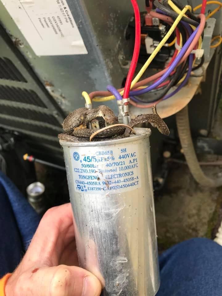 A person is holding a capacitor with wires coming out of it.