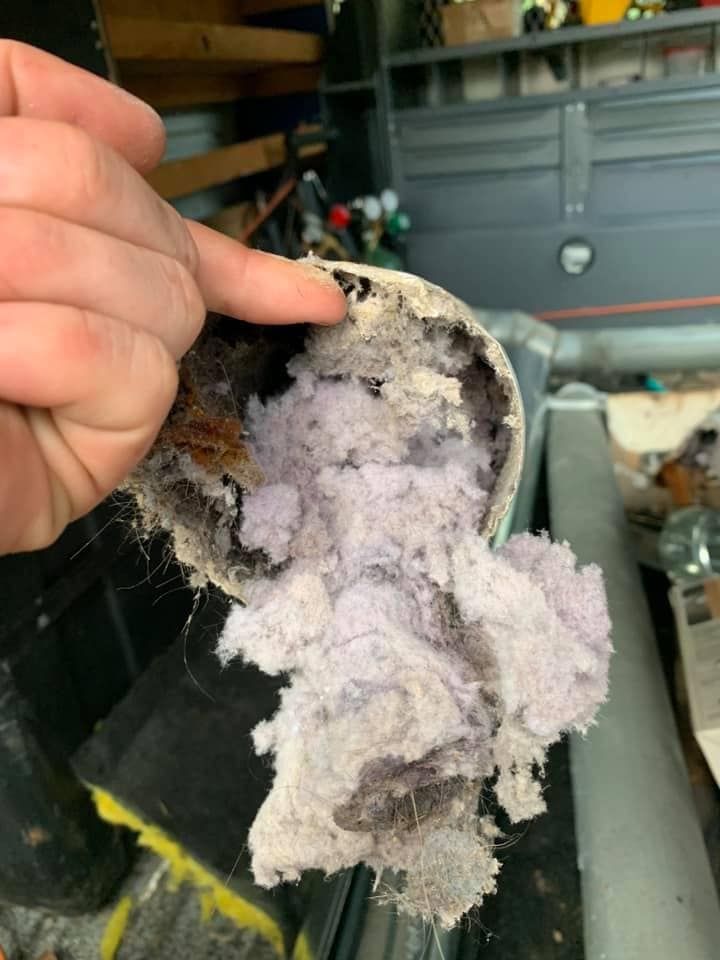 A person is holding a piece of lint in their hand.