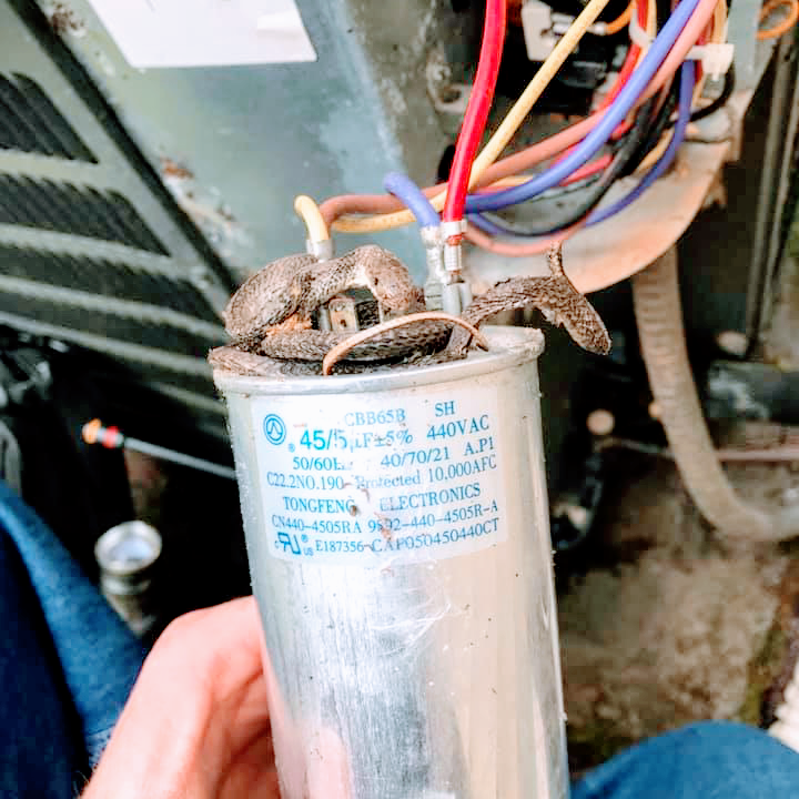 A person is holding a capacitor with wires coming out of it.