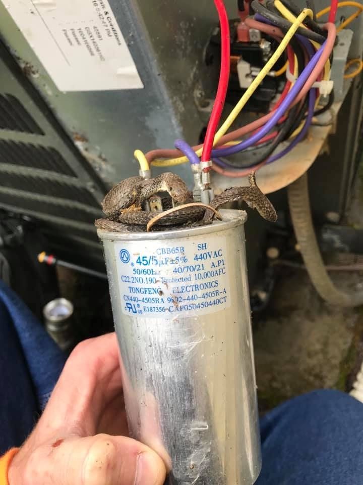 A person is holding a capacitor with wires coming out of it.