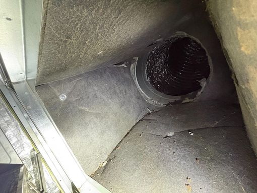 A small lizard lies dead on top of an HVAC capacitor with electrical wires attached, held by a person's hand.