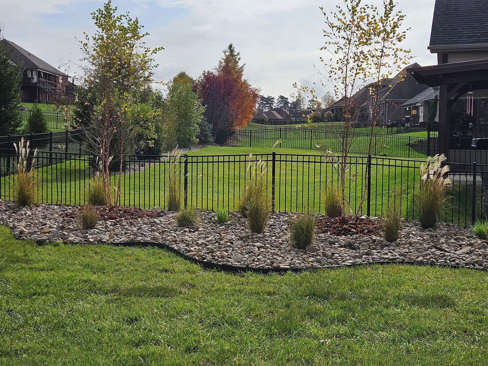 A backyard with a black metal fence, mulch beds, young trees, and green grass. Houses in the background.