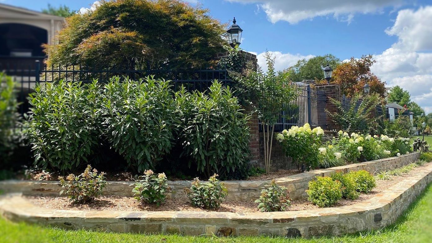 Seasonal Guide: What to Plant in Late Summer vs. Fall in Louisville, KY