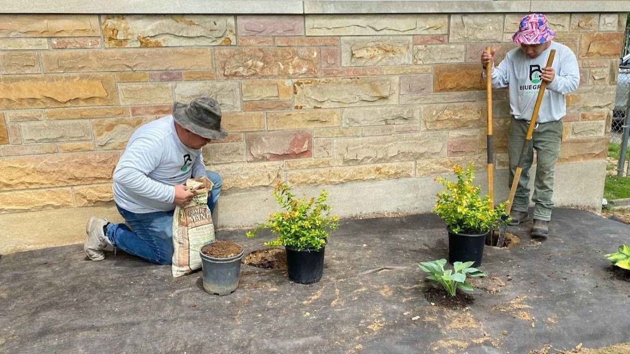 Two men are planting plants in front of a brick wall.