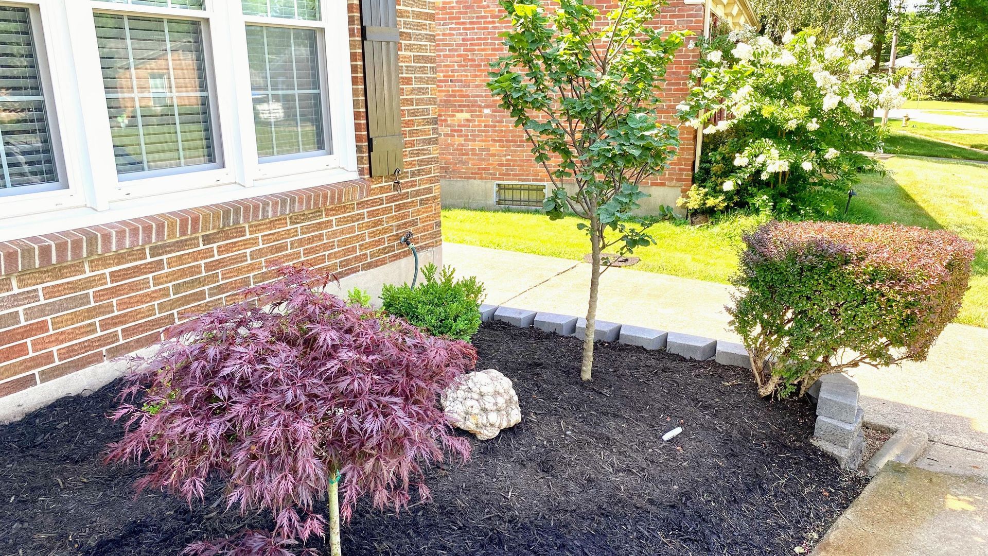 Low-walled garden bed with varied green plants and a small statue, set against a brick and iron fence.