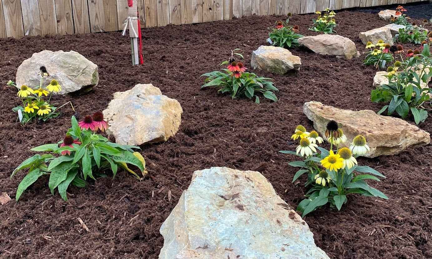 A garden bed with brown mulch, large tan rocks, and flowering plants with yellow and red blooms.