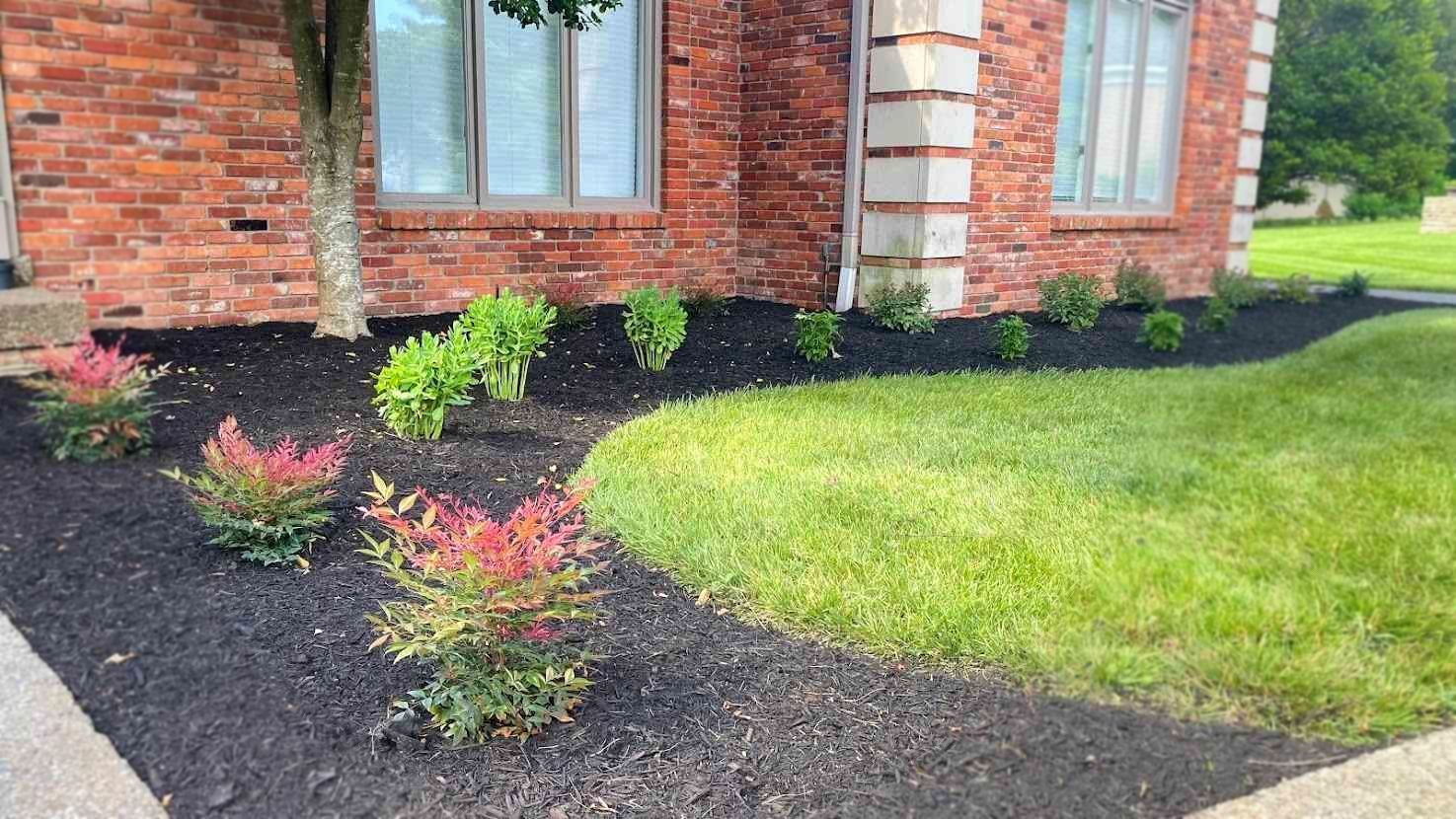 Landscaped yard with red brick house, dark mulch, green shrubs and lawn.