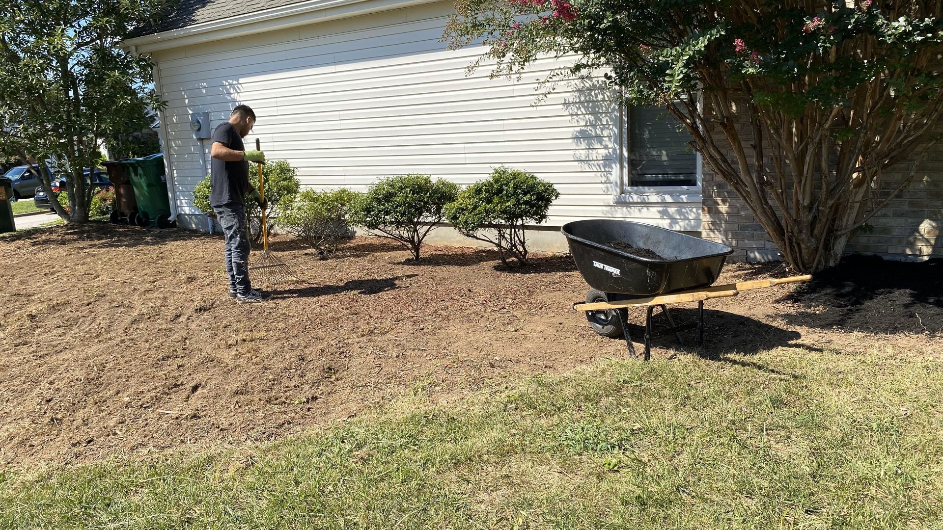 A man is standing in a yard next to a wheelbarrow.