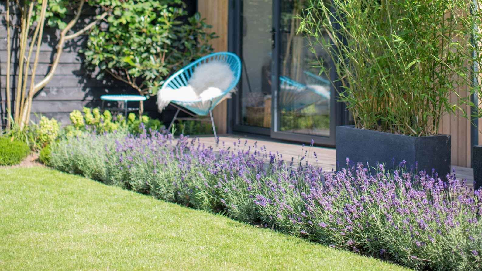 A blue chair is sitting in a garden next to a row of purple flowers.