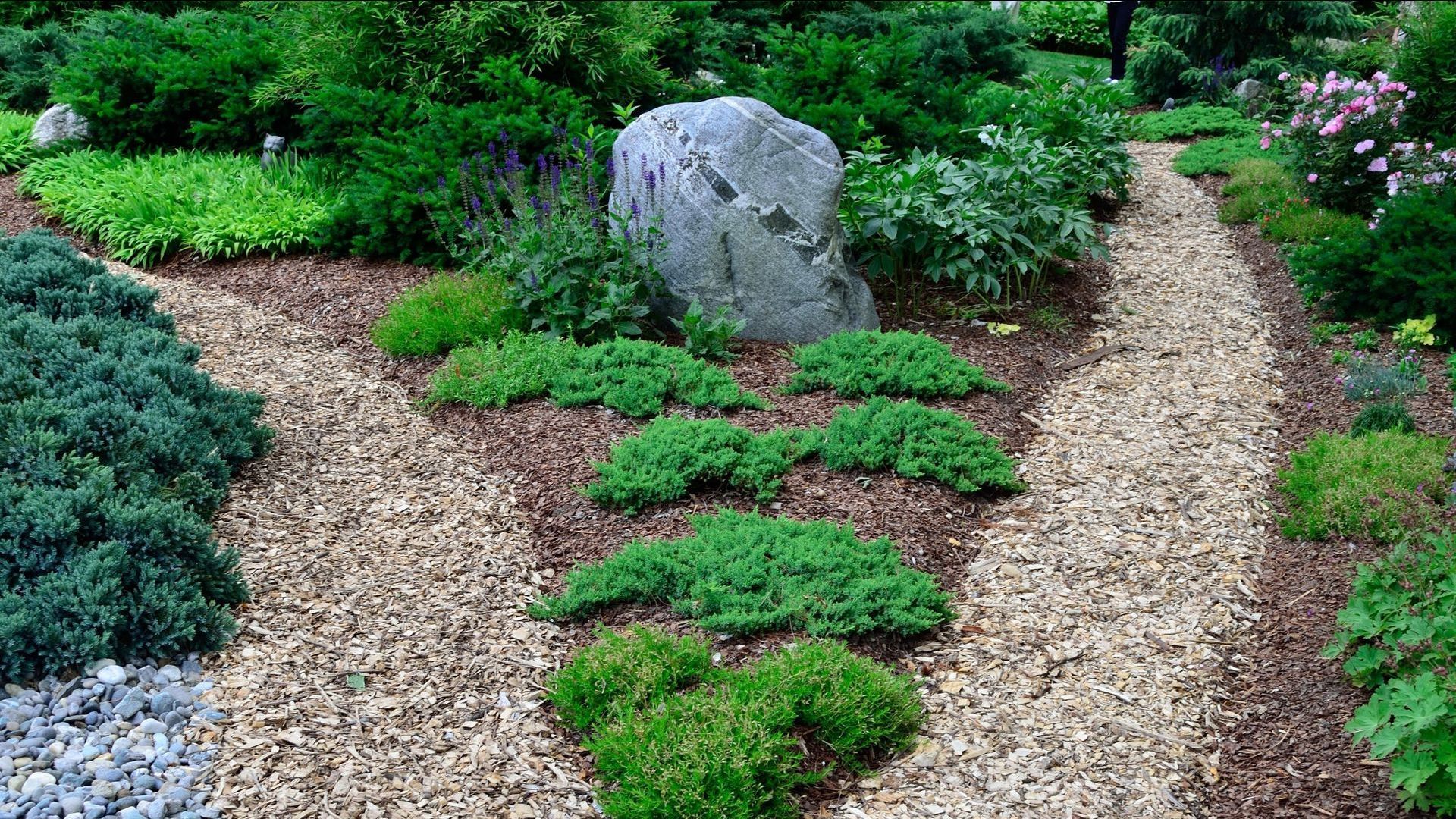 There is a large rock in the middle of the garden.