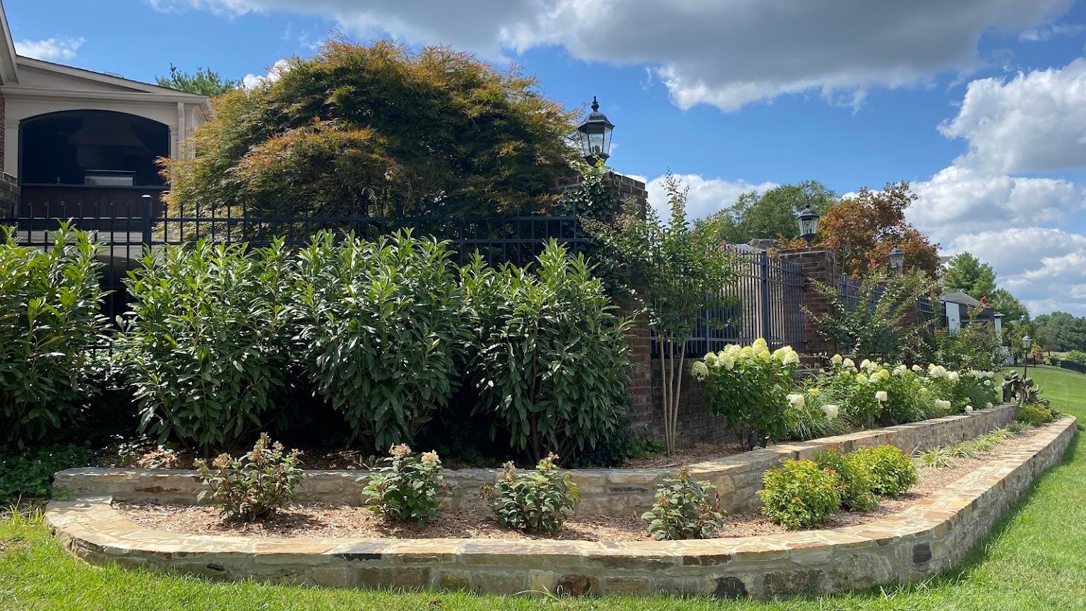 A stone wall surrounded by trees and bushes in front of a house.