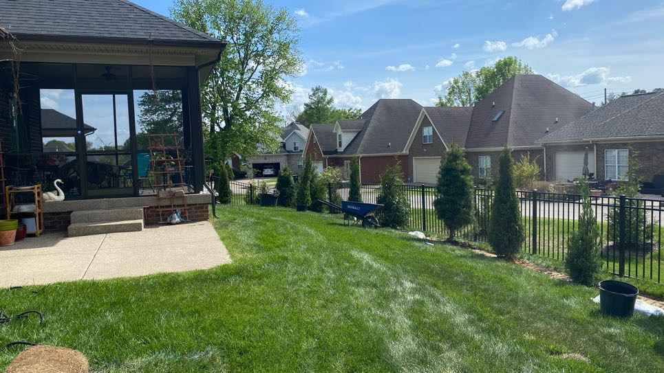 Case Study: Evergreen Privacy Landscape with HOA Coordination in Louisville, KY
