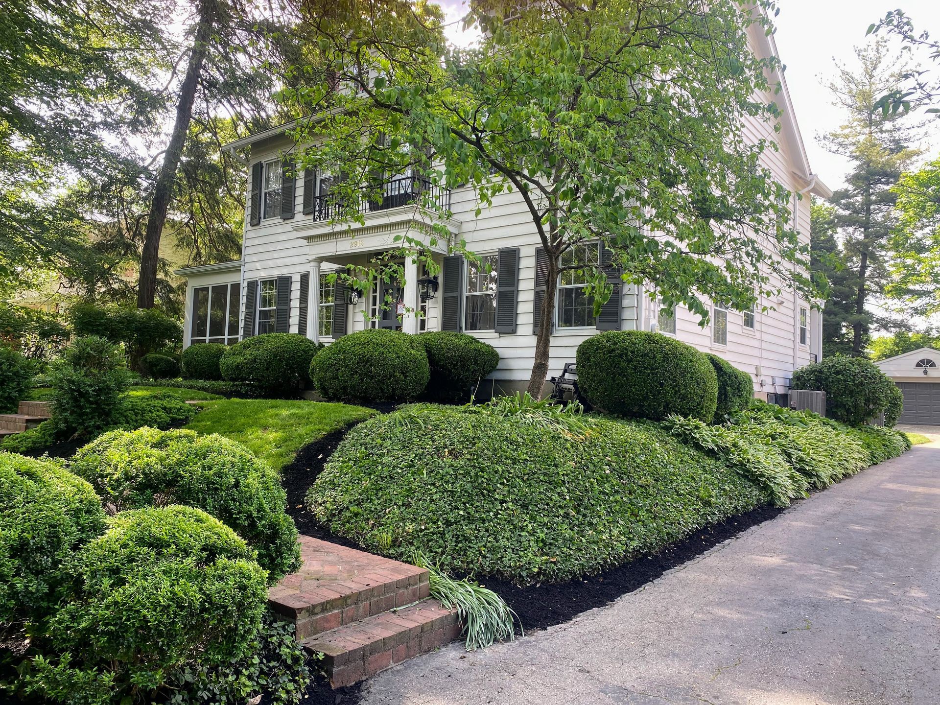 A well-landscaped front yard with tall evergreens, a pond, and various plants.