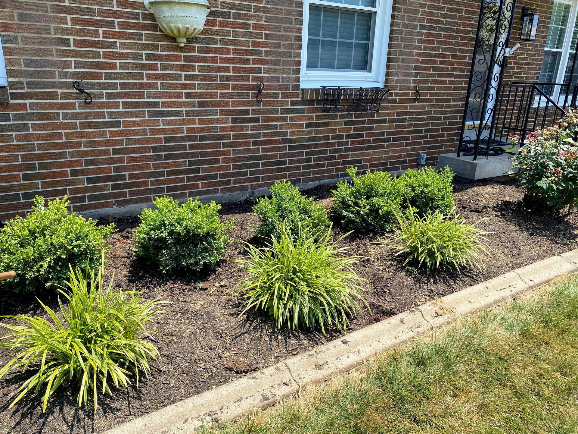 A brick house with a landscaped bed of green shrubs and mulch against the wall.