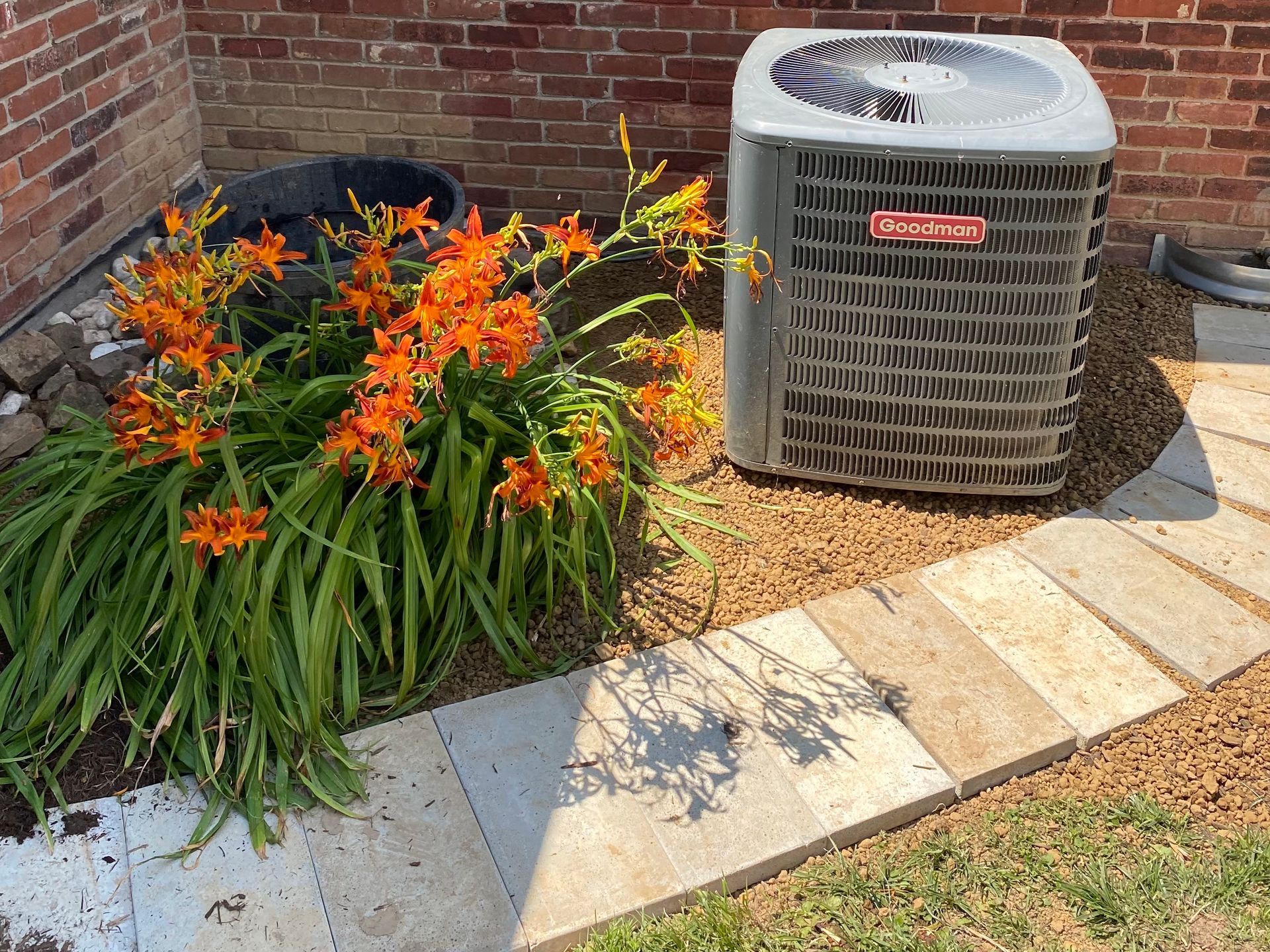 Best Summer Flowers for Instant Color in Your Landscape