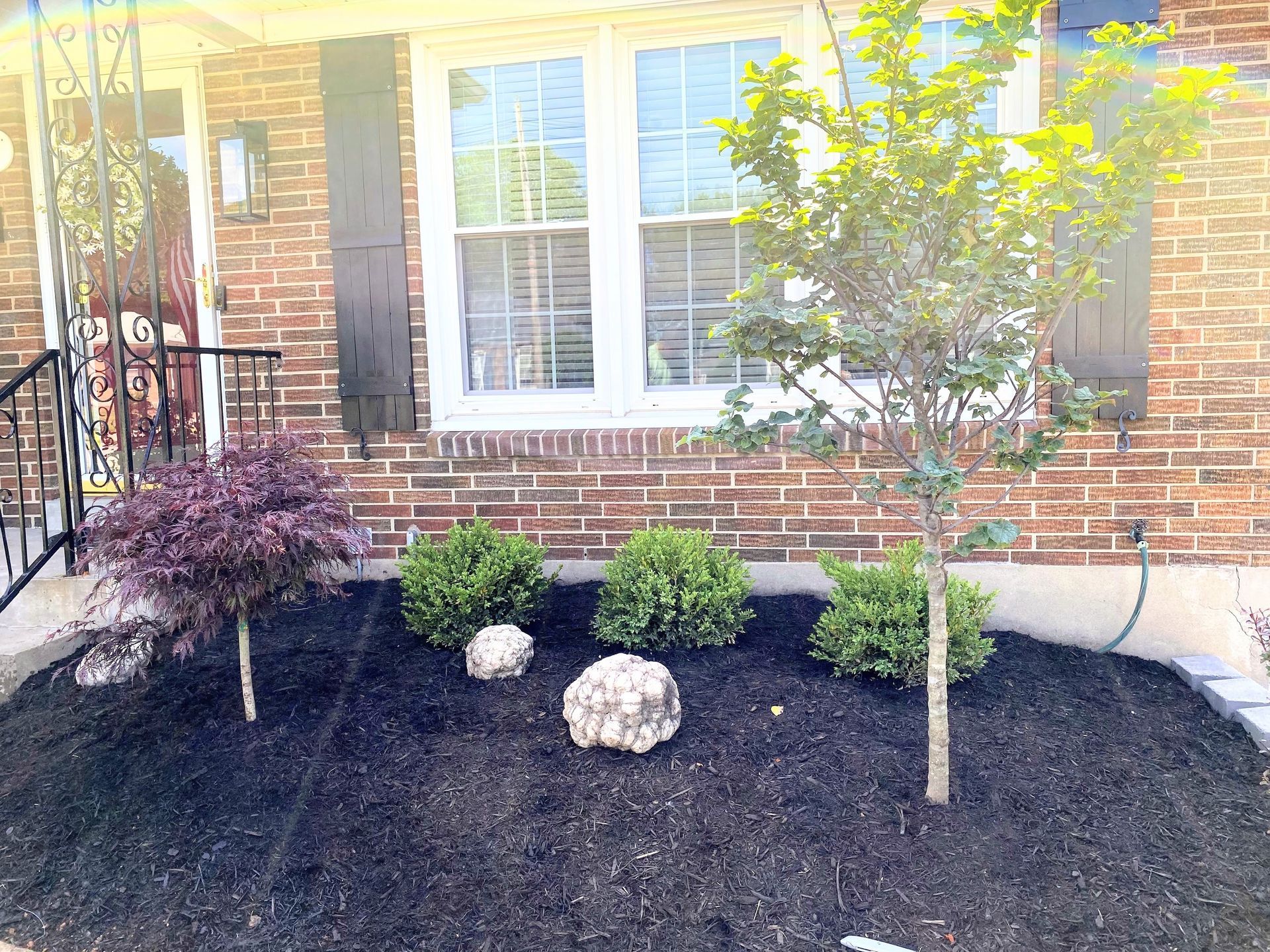 Mulch Refresh Tips: How Much You Need and When to Apply It