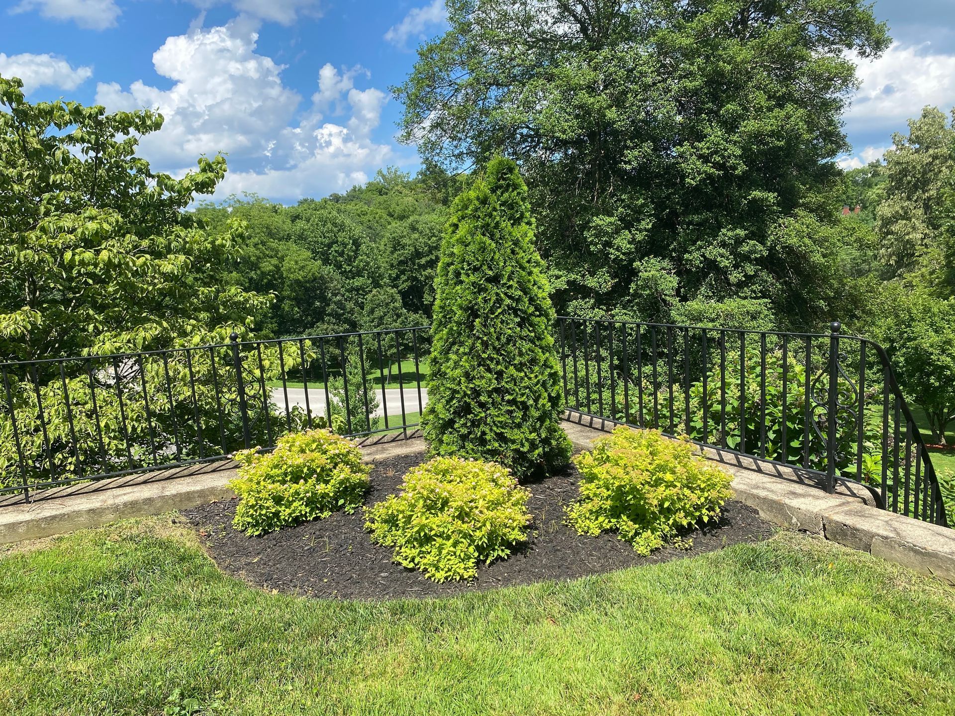 Landscape Design for Small Spaces: How to Maximize Your Yard Before Winter Hits