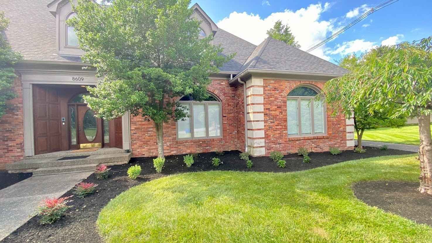 Green potted arborvitae trees lined up on grass next to a black fence, ready for planting in a sunny backyard.