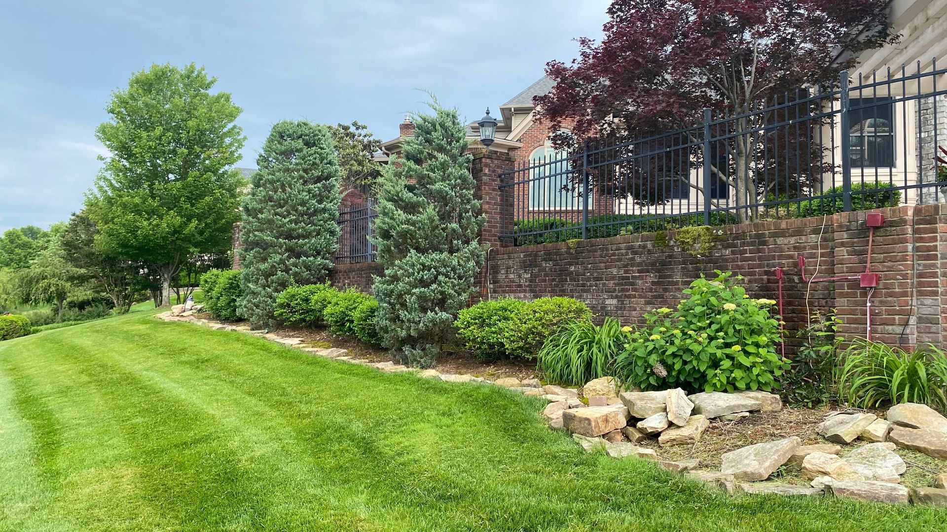 Lawn sloping down to a brick retaining wall and iron fence; lush greenery with various trees and shrubs.