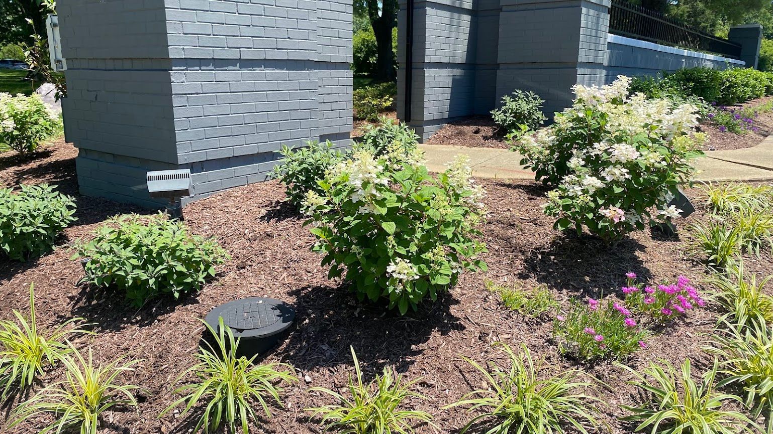 Landscaped garden bed with shrubs, mulch, and a gray stone building in the background