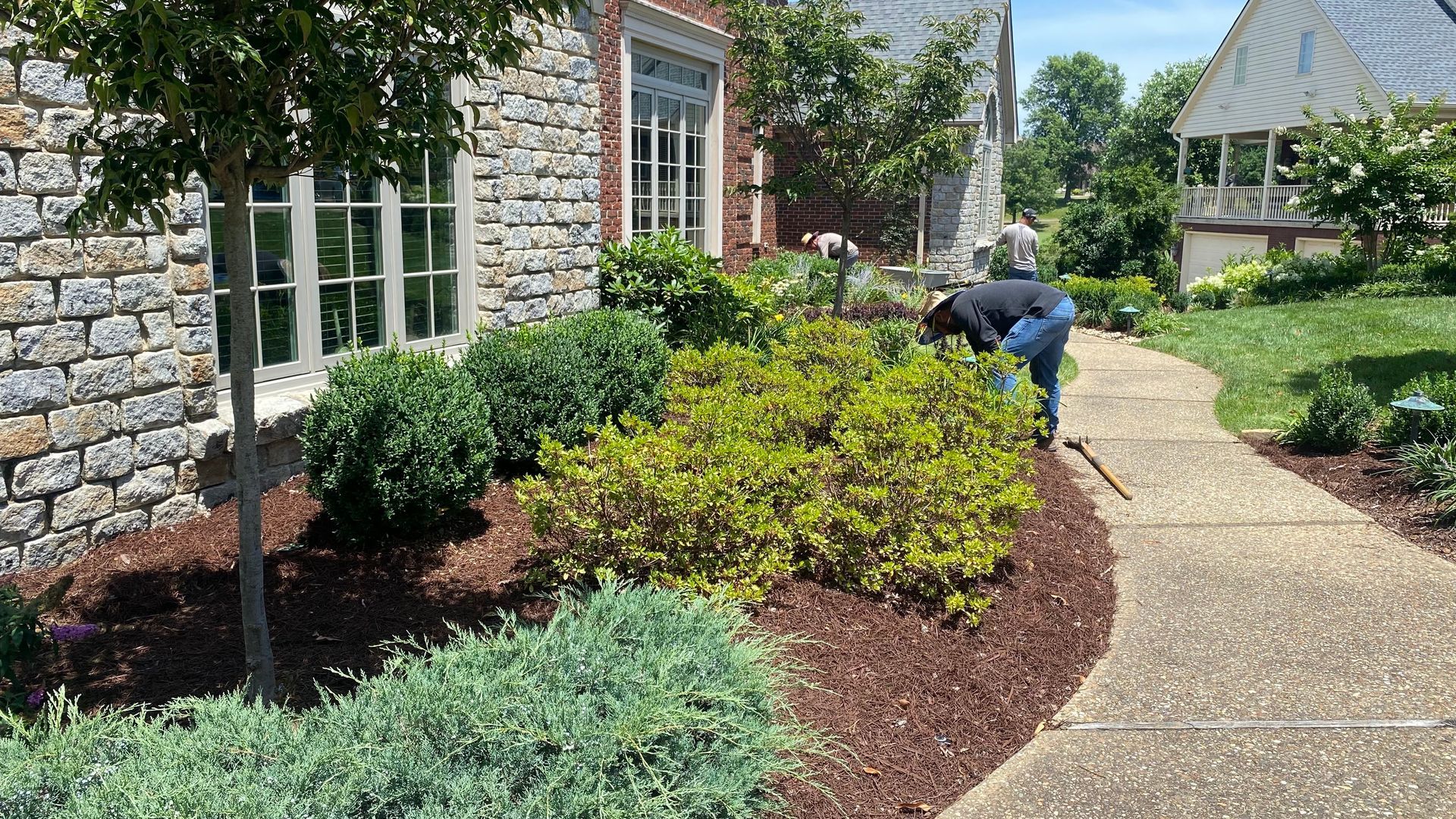 The Best Heat-Tolerant Plants for Louisville Gardens (That Still Look Amazing)