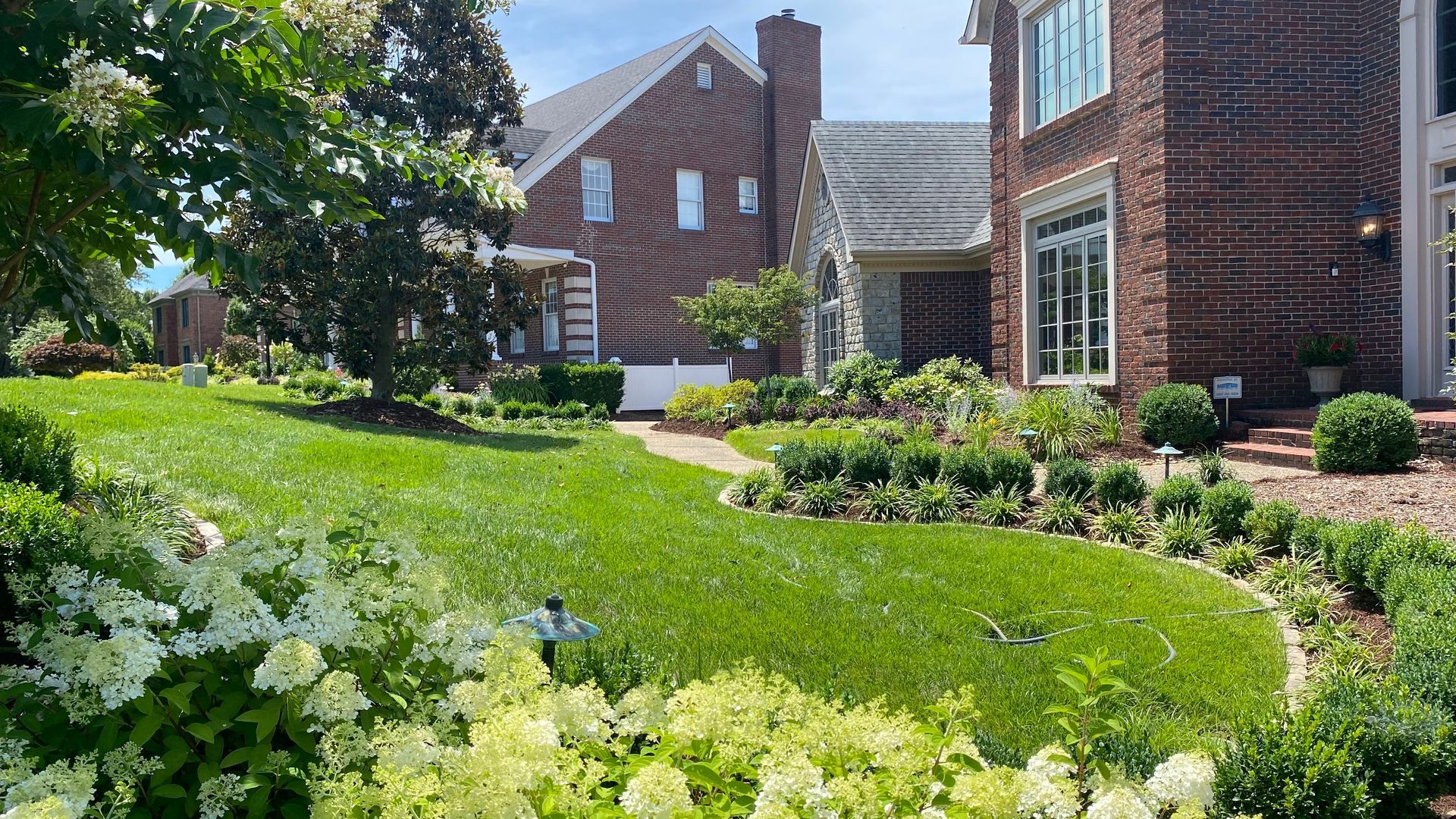 Sunny suburban front yard with green lawn, white flowers, and brick townhouses in the background