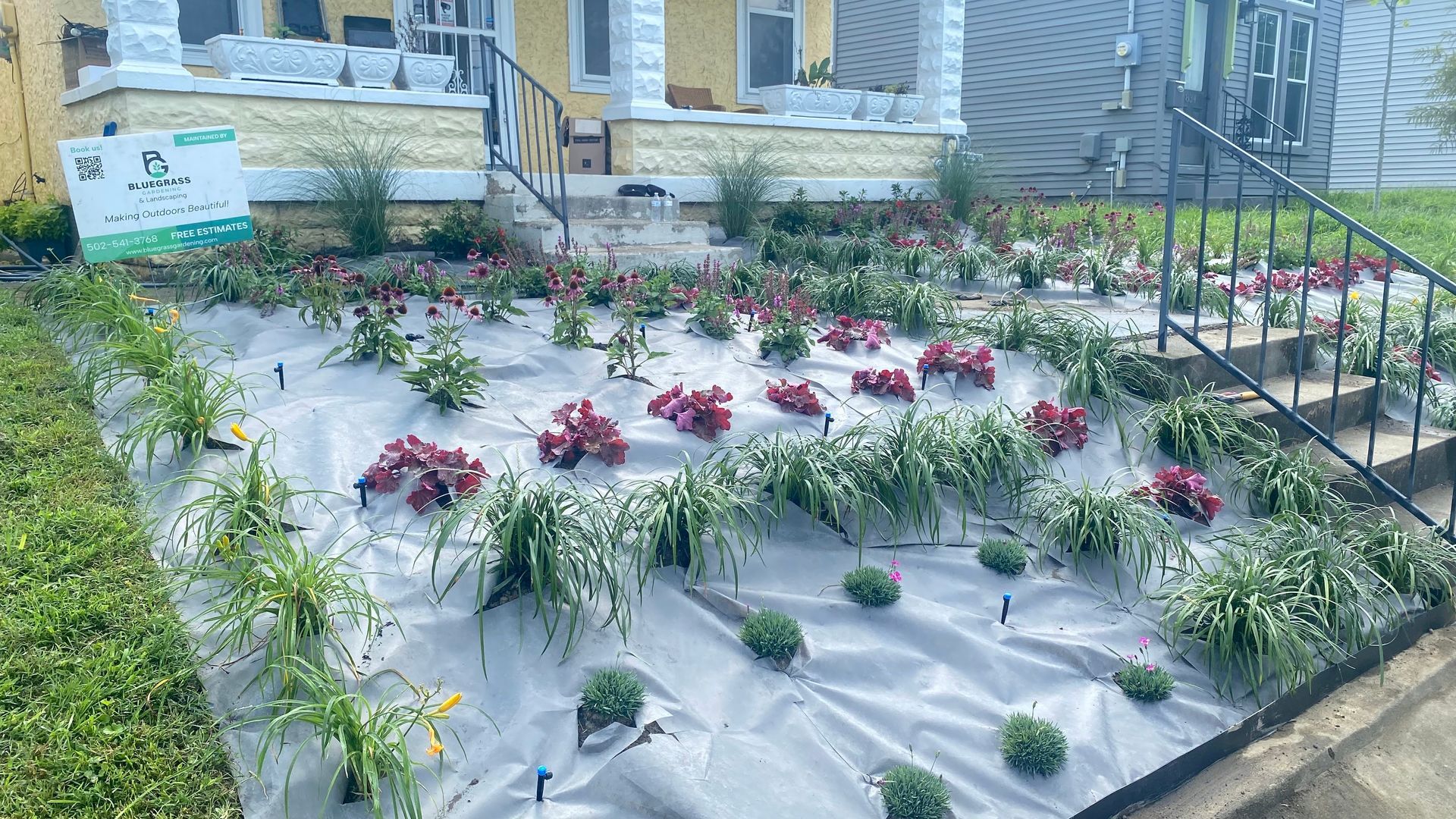 Flower bed in front of yellow house; red and green plants on white fabric. Steps lead to a porch.