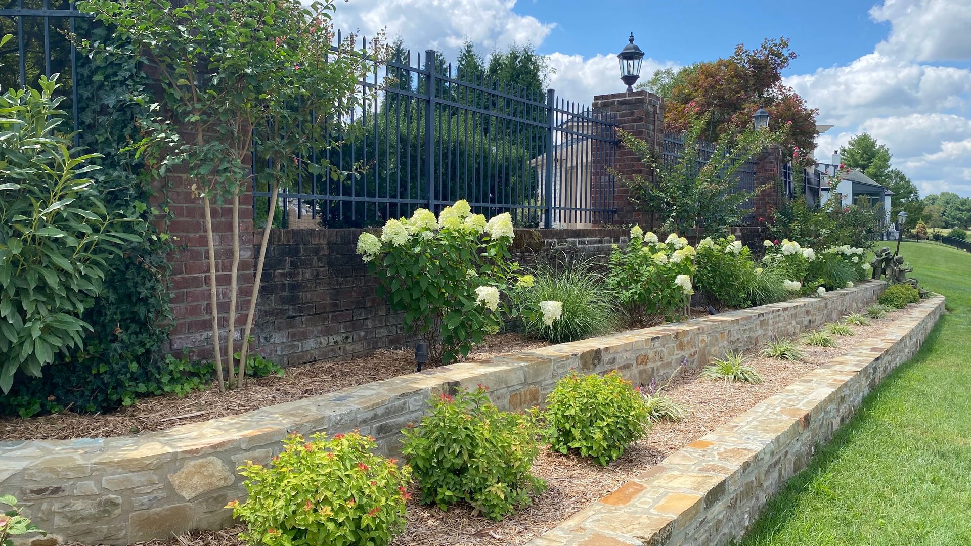 Stone-lined garden bed with white hydrangea and green shrubs. Black fence and brick column in the background. Sunny day.