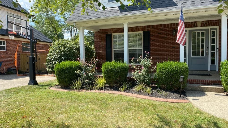 Green grass with shrubs and mulch bed in front of a brick house; sunny outdoor setting.