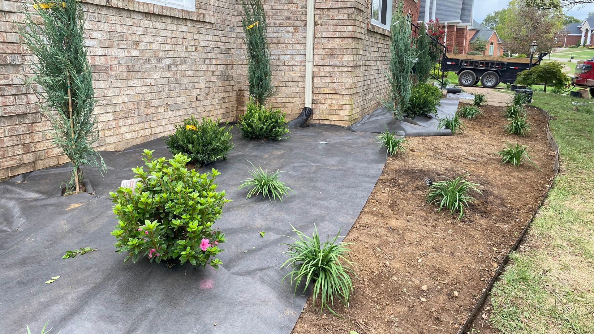 Newly landscaped yard with mulch, plants, and a weed barrier against a brick wall and sidewalk.