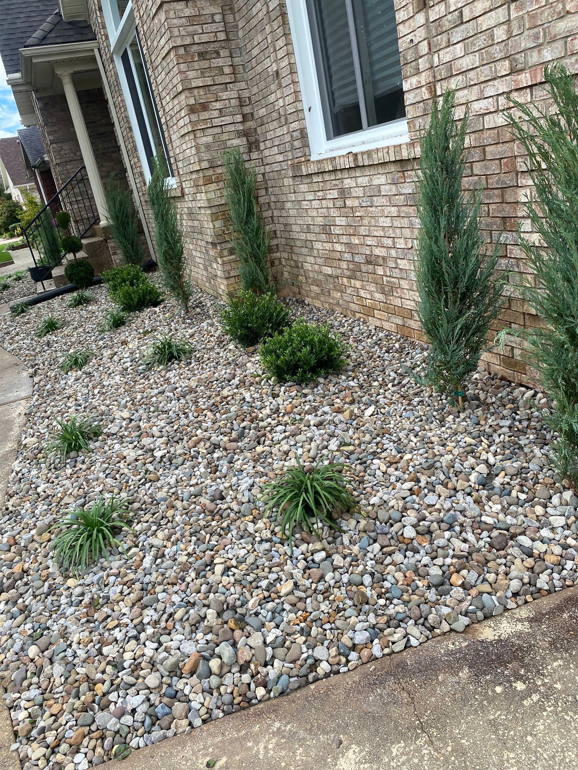 Rock garden bed with small green plants and trees in front of a brick building.