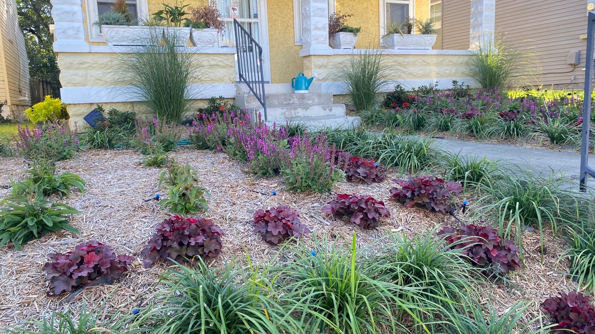 A well-landscaped front yard with a yellow house. The garden features mulch, dark red and purple plants, and green grass.