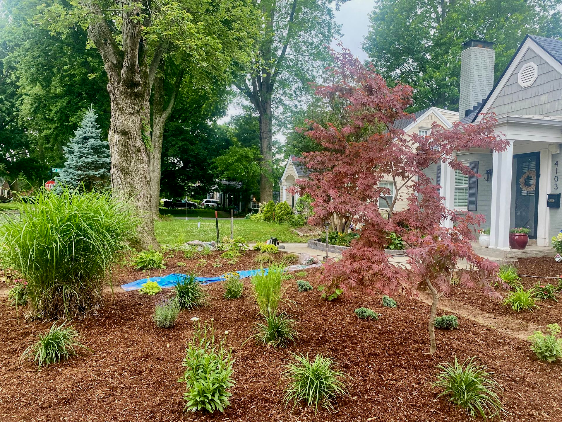 Front yard garden with young plants, a small pond, and a white house with a porch.
