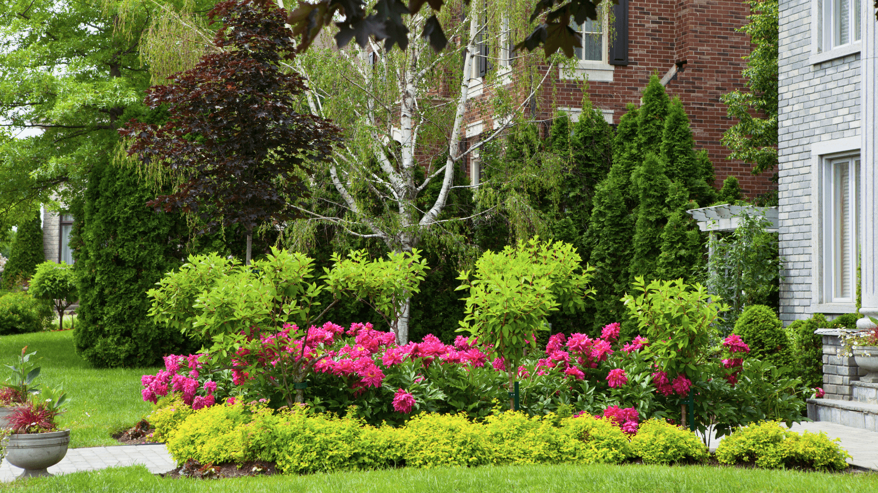 A garden with pink flowers and green plants in front of a house.