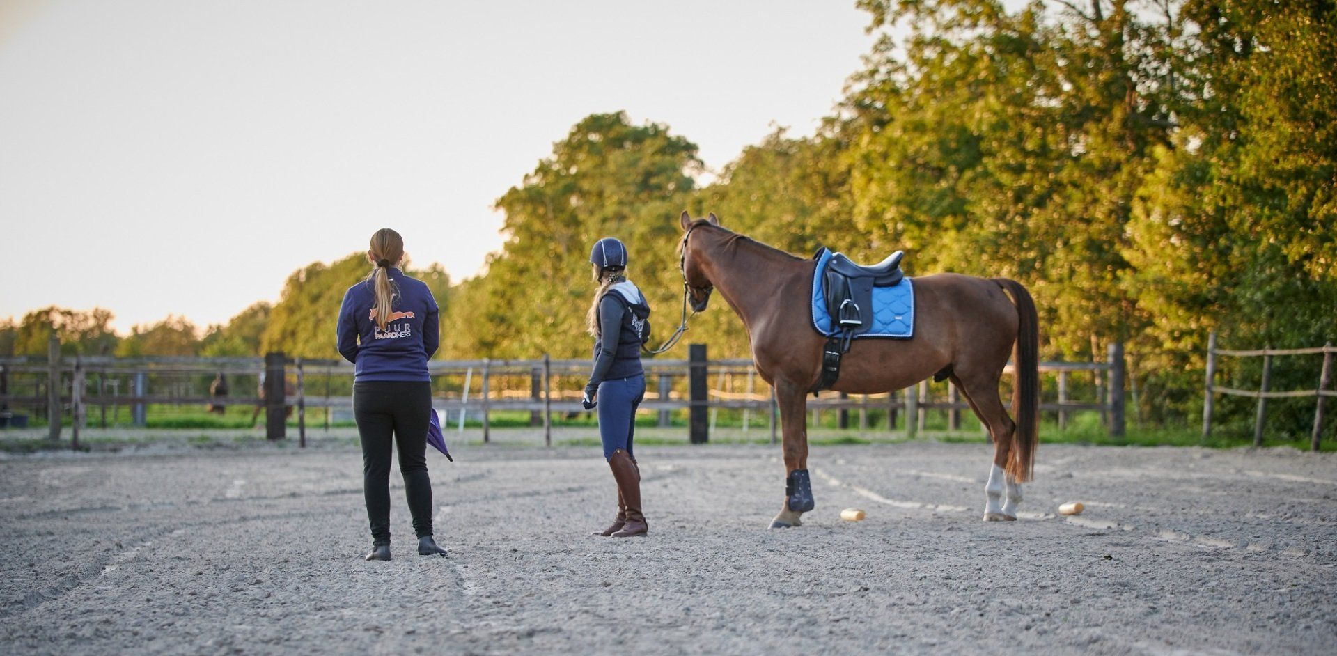 Is jouw paard schrikachtig tijdens het rijden?