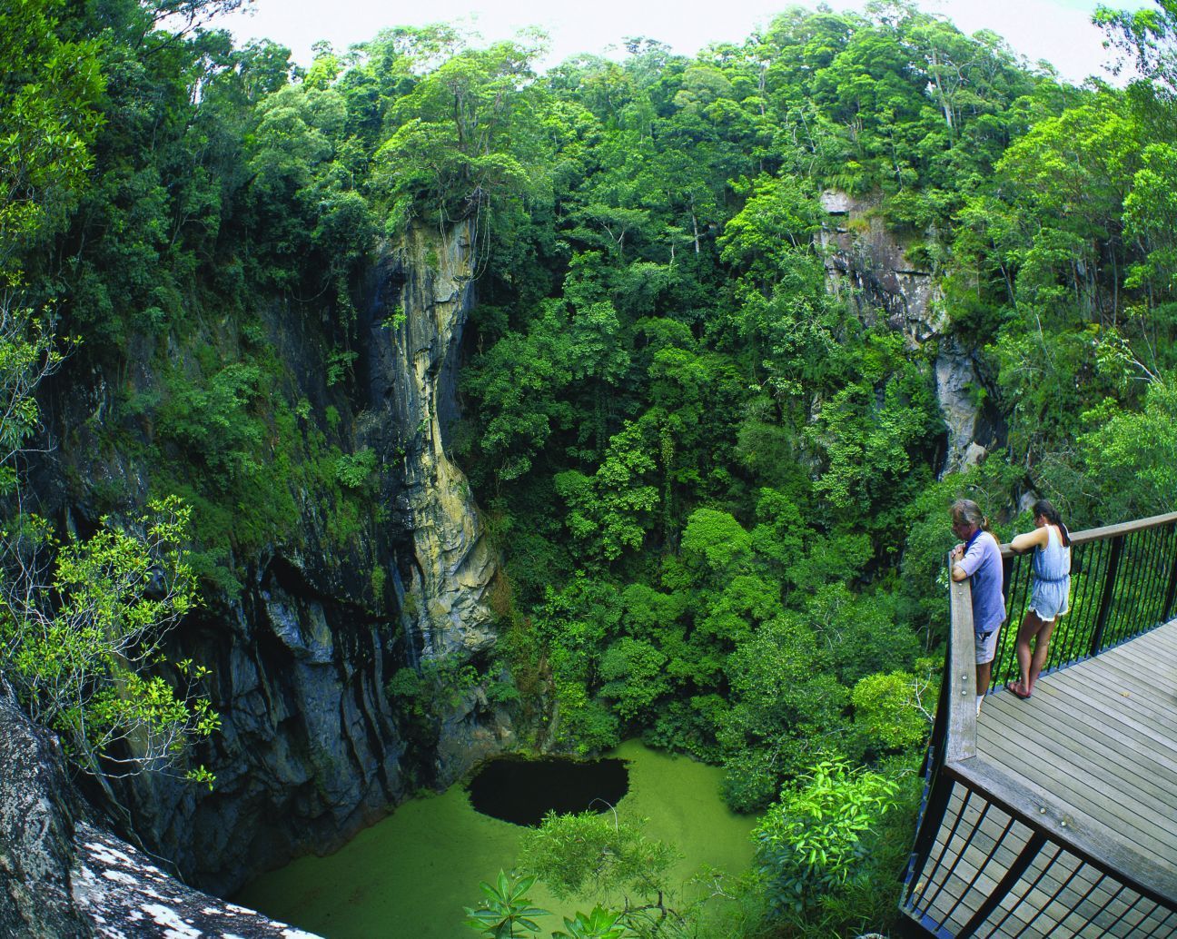 People overlook a lush, green sinkhole from a wooden platform in a forest.