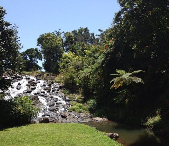Waterfall cascading down rocks into a stream, surrounded by lush green trees under a blue sky.
