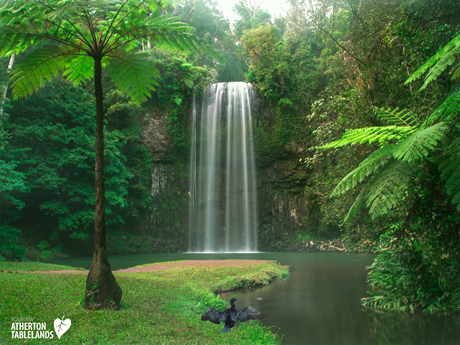 Waterfall cascading into a tranquil pool surrounded by lush green vegetation.