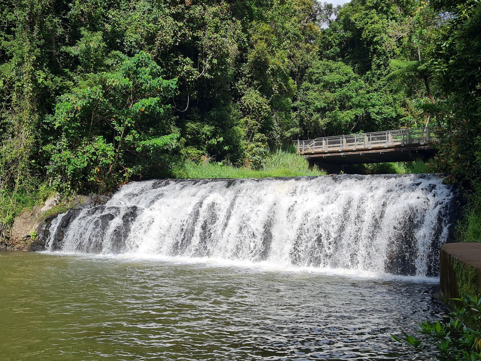 Waterfall cascading into a pond, surrounded by lush green trees. A small bridge is visible in the background.