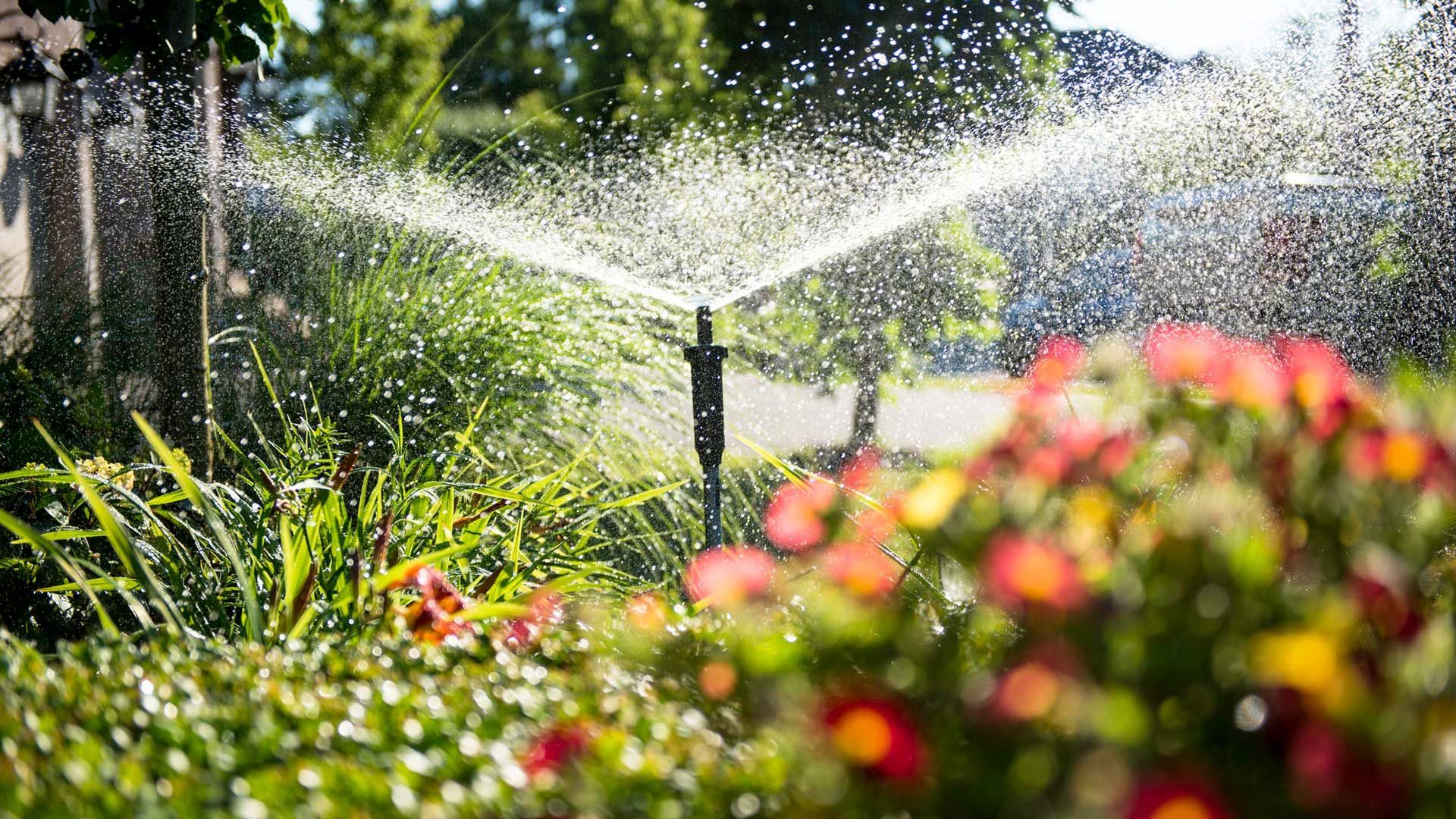 Irrigation — San Marcos, TX — Diamondback Landscaping & Lawn Care, Inc.