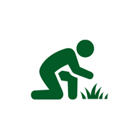 Commercial Care — San Marcos, TX — Diamondback Landscaping & Lawn Care, Inc.