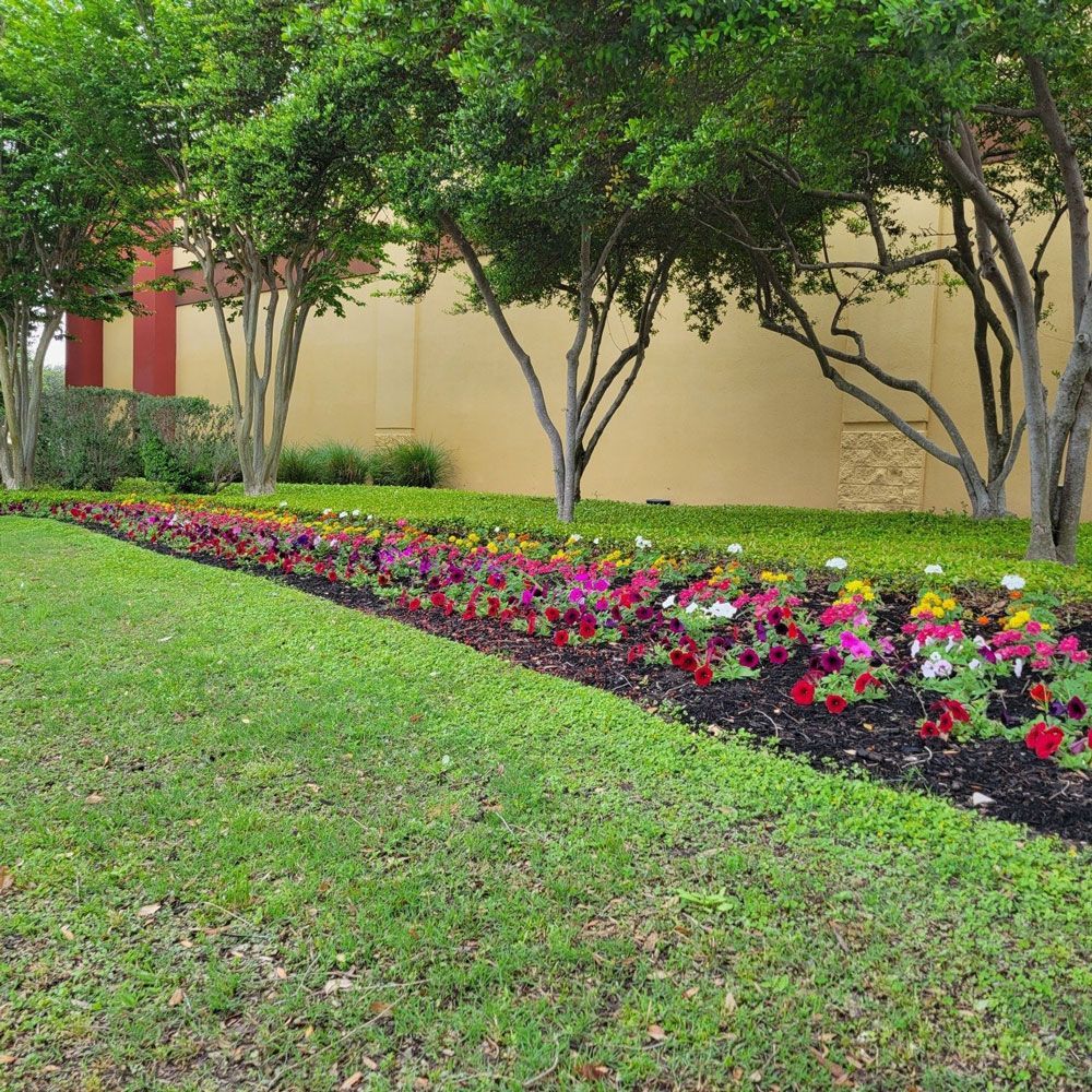 Simple Flower Bed — San Marcos, TX — Diamondback Landscaping & Lawn Care, Inc.