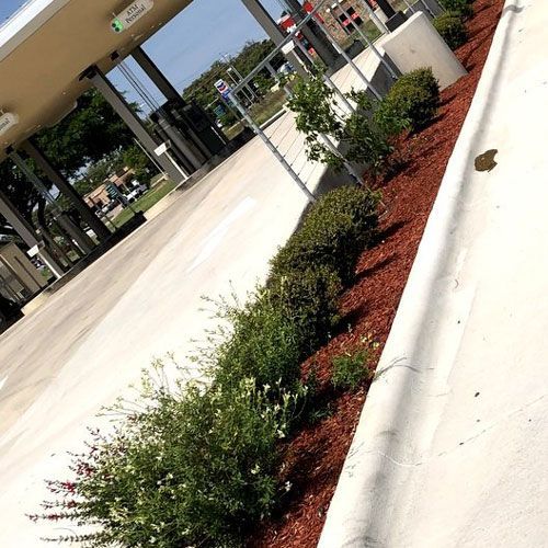 Mall Plants — San Marcos, TX — Diamondback Landscaping & Lawn Care, Inc.