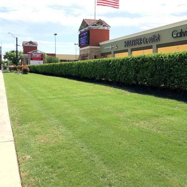 Neat Lawn — San Marcos, TX — Diamondback Landscaping & Lawn Care, Inc.