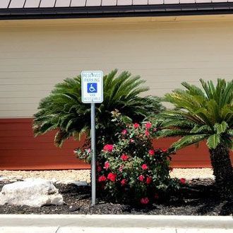 Trees Near Parking Area — San Marcos, TX — Diamondback Landscaping & Lawn Care, Inc.