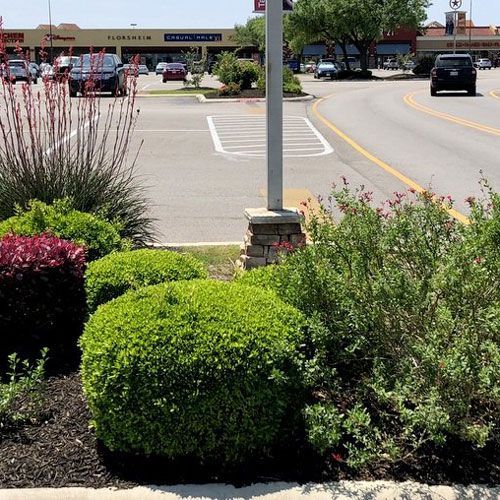 Bushes Near a Post — San Marcos, TX — Diamondback Landscaping & Lawn Care, Inc.