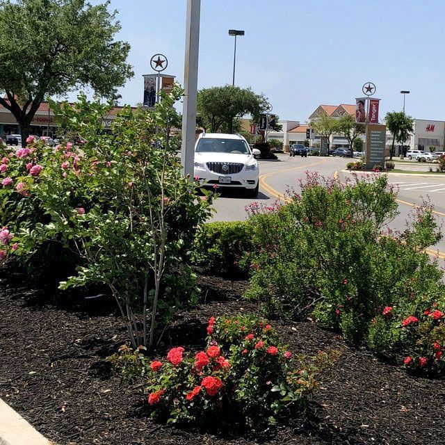 Parking Lot with Plants — San Marcos, TX — Diamondback Landscaping & Lawn Care, Inc.