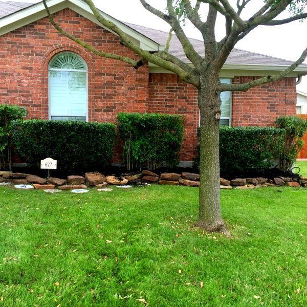 Lawn with a Tree — San Marcos, TX — Diamondback Landscaping & Lawn Care, Inc.